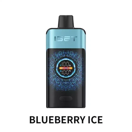IGET ONE 12000 Puffs - Blueberry Ice