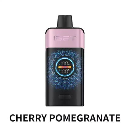 IGET ONE 12000 Puffs - Cherry Pomegranate