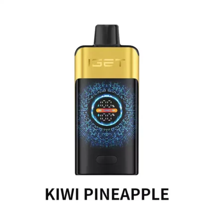 IGET ONE 12000 Puffs - Kiwi Pineapple
