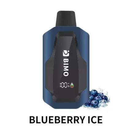 BIMO GTI 40000 - Blueberry Ice